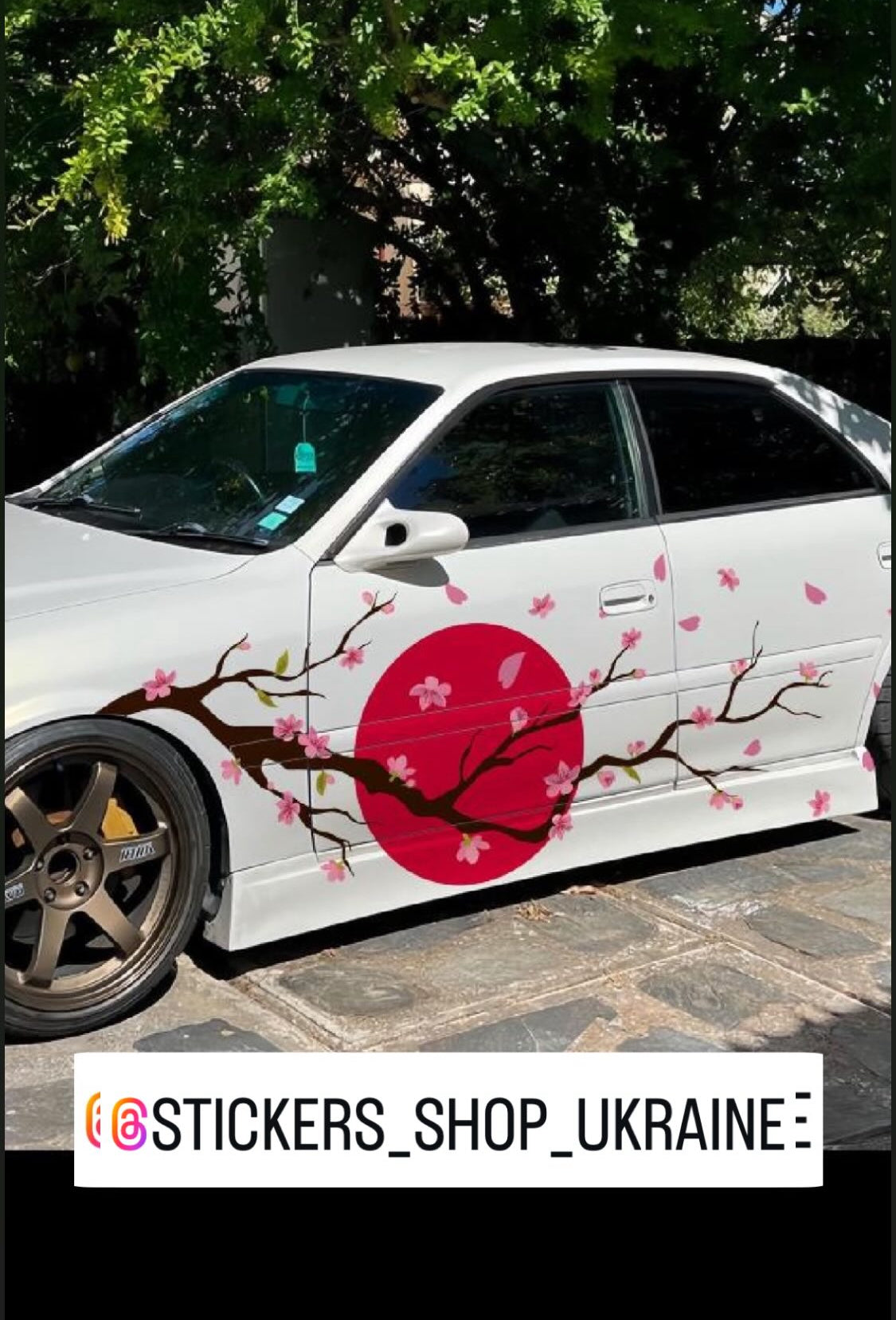 Cherry blossom Sakura wrap