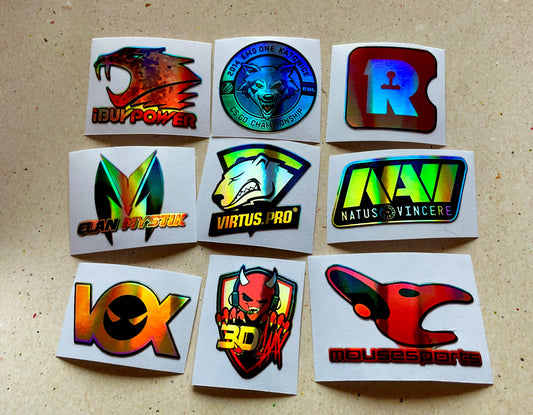 Katowice 2014 Challengers Stickers from CS GO in real life Set  / Global Offensive decal / Sticker / Decal / Gaming csgo Gamer Gift